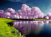 Testing Purpose stocks